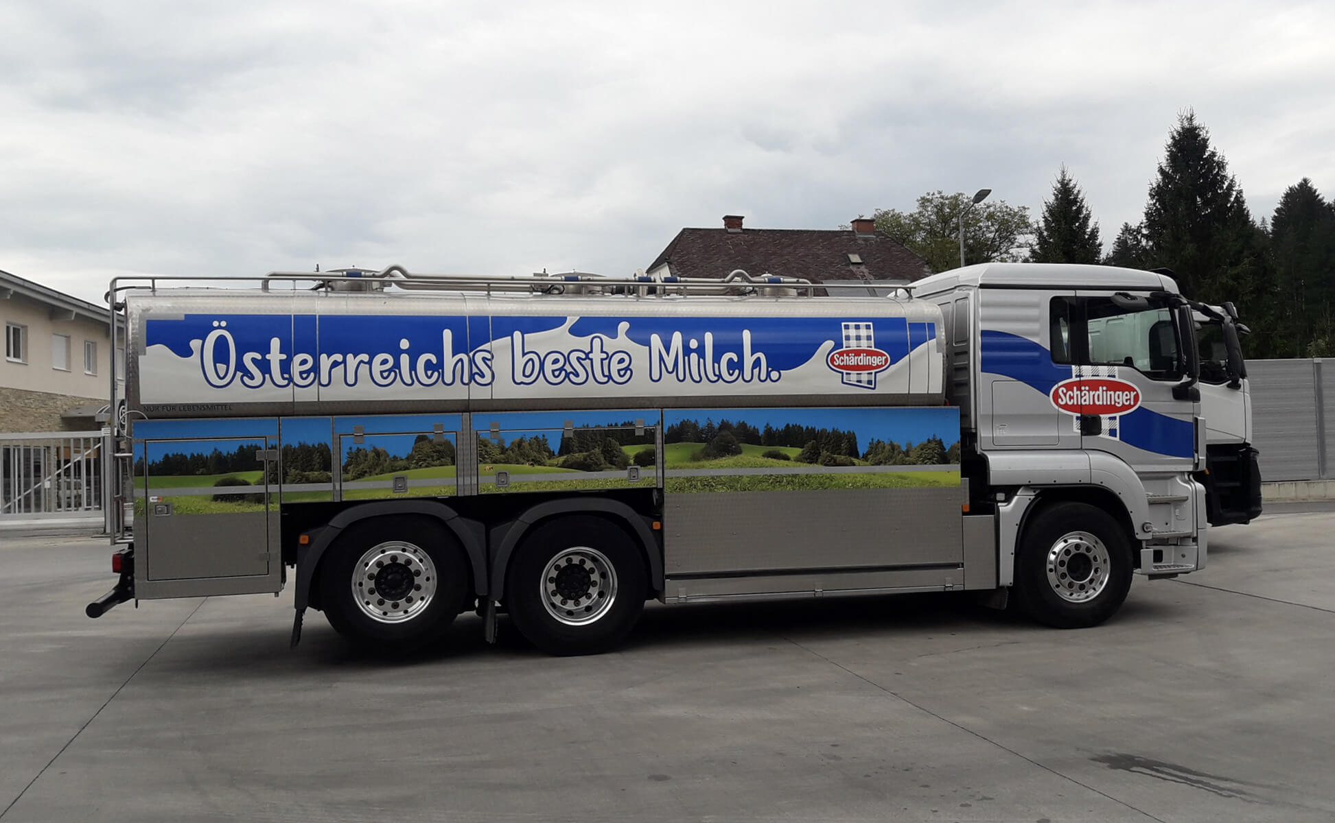 Schaerdinger_7